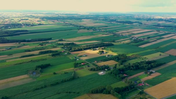 Formas geométricas abstractas de parcelas agrícolas de diferentes cultivos en colores amarillo y verde. Vista aérea disparar desde el dron directamente sobre el campo — Vídeos de Stock