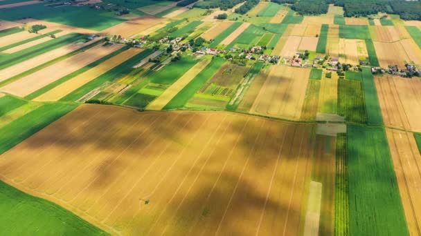 異なる作物の農業小包の垂直ストライプ。飛行場の真上のドローンからの航空写真 — ストック動画