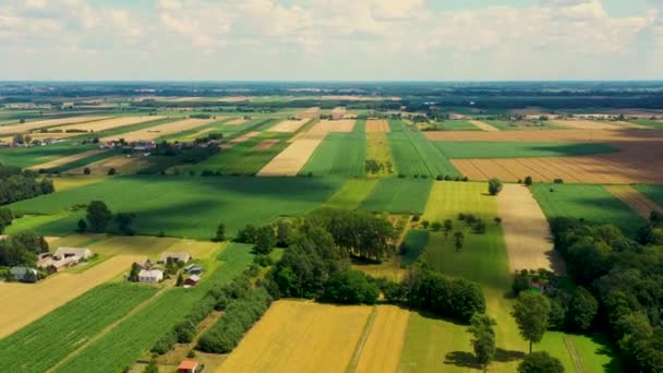 Vertikální pruhy zemědělských pozemků různých plodin. Letecký snímek z dronu přímo nad polem — Stock video