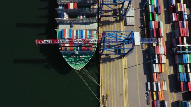İş ve lojistik ihracat ve ithalat yapan konteyner gemisi. Kargoyu vinçle limana götürüyorum. Uluslararası su taşımacılığı. Hava görünümü — Stok video