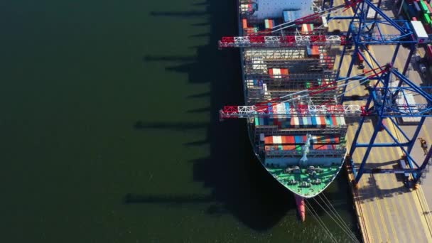 Container navio em exportação e importação de negócios e logística. Transporte de carga para o porto por guindaste. Transporte de água Internacional. Vista aérea — Vídeo de Stock