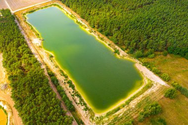 Yazın vahşi orman gölünün havadan görünüşü. Kırsaldaki yeşil çam ağacı ormanında küçük mavi göl