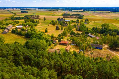 Maurzyce ahşap mimari miras parkı, açık hava müzesindeki antika bina. Lowicz, Polonya