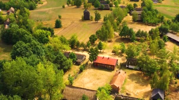 Maurzyce faépítészeti örökség park, antik épület szabadtéri múzeumban. Légi Lowicz, Polnad — Stock videók