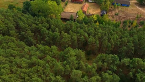 Parque patrimonial de arquitectura de madera Maurzyce, edificio antiguo en museo al aire libre. Lowicz, Polonia — Vídeos de Stock