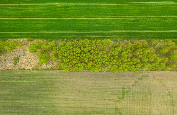 Terras Agrícolas Cima Imagem Aérea Verde Exuberante Arquivado — Fotografia de Stock