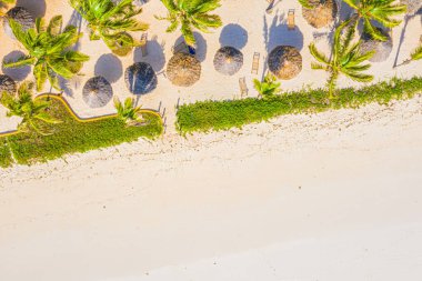 Güneşli bir günde Hint Okyanusu 'nun kumlu sahilinde palmiye manzarası. Afrika, Zanzibar 'da yaz tatili. Palmiye ağaçları, beyaz kum, mavi su, oteller olan tropik bir manzara. Deniz kıyısının en üst manzarası