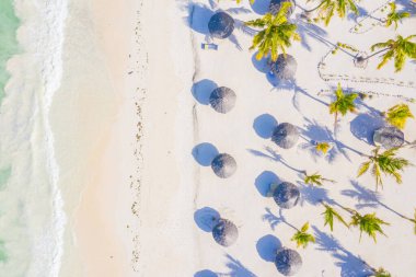 Güneşli bir günde tropikal kumsal manzarası, palmiyeler ve şemsiyelerle. Hint Okyanusu 'nda yaz tatili, Zanzibar, Afrika. Palmiye ağaçları, oteller, havuz, beyaz kum, gök mavisi deniz manzarası. Üst görünüm