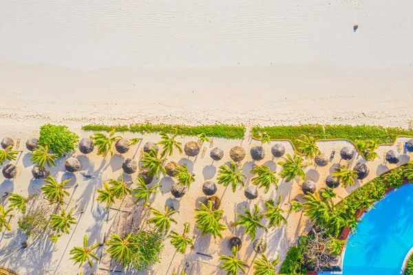 Flygfoto Över Handflatorna Sandstranden Indiska Oceanen Solig Dag Sommarsemester Zanzibar — Stockfoto