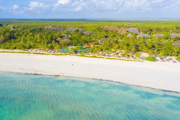 Vista Aérea Praia Tropical Areia Com Palmas Guarda Chuvas Dia — Fotografia de Stock