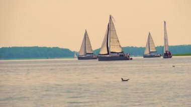 Sakin bir gün havasında açık denizde yelken açmak. Okyanus körfezindeki beyaz yelkenli teknenin üzerinde güneş parlıyor. Huzurlu deniz manzarasında yelkenli gezisi. Güneşli yaz gününde inanılmaz bir gemi yarışı. Sinematik İHA çekimi