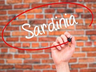 Adam el Sardunya ile siyah kalemi görsel ekranda yazma.