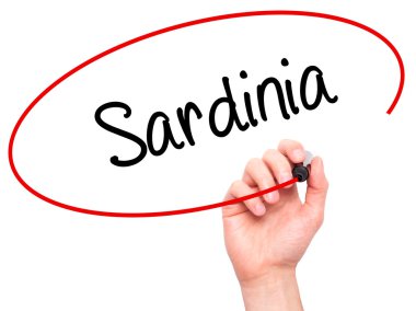 Adam el Sardunya ile siyah kalemi görsel ekranda yazma.