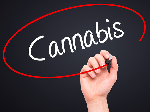 Человек Рука пишет каннабис с черным маркером на экране
