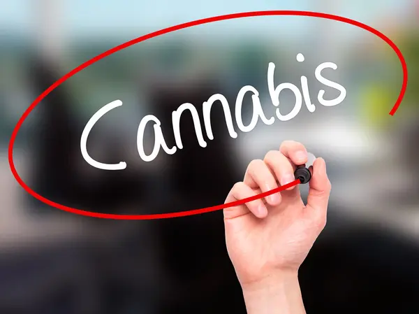 Man Hand writing Cannabis with black marker on visual screen — Stock Photo, Image