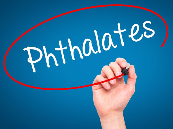 Man Hand writing  Phthalates  with black marker on visual screen