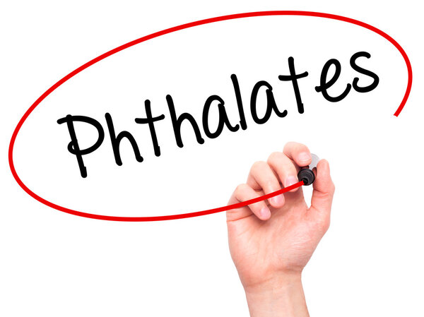 Man Hand writing  Phthalates  with black marker on visual screen