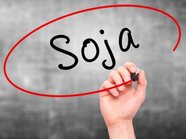 Adam el ile siyah kalemi soya (soya Portekizce) yazma 