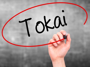 Adam el Tokai siyah kalemi ile görsel ekranda yazma.