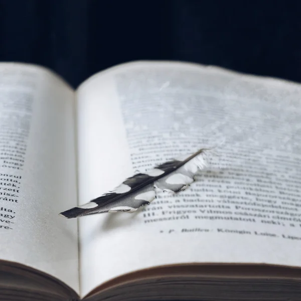 Pluma de pájaro en el libro de cerca, foto filtrada —  Fotos de Stock