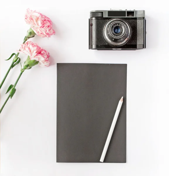 Vintage kamera och rosa blommor på vit bakgrund — Stockfoto