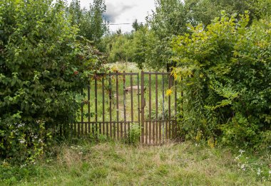 Terk edilmiş bir bahçenin kapısı