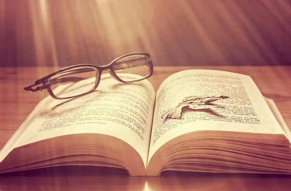 Gözlüklü açık kitap sonbahar izinde