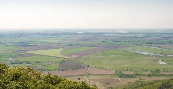 Landschaft aus ungarisch, tokaj — Stockfoto