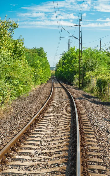 Tren rayları ormanı