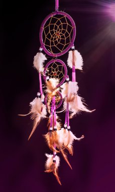 Rüya yakalayıcı mistik mor ışıklar içinde