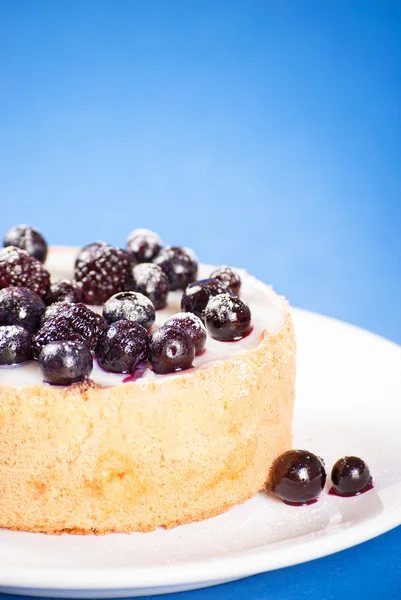 Черничный мини-торт на голубом фоне — стоковое фото