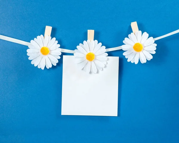 Pinzas de manzanilla con papel en blanco sobre fondo azul — Foto de Stock