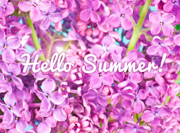 Fialové květy se zblízka na modrém pozadí s textem: Ahoj léto! — Stock fotografie