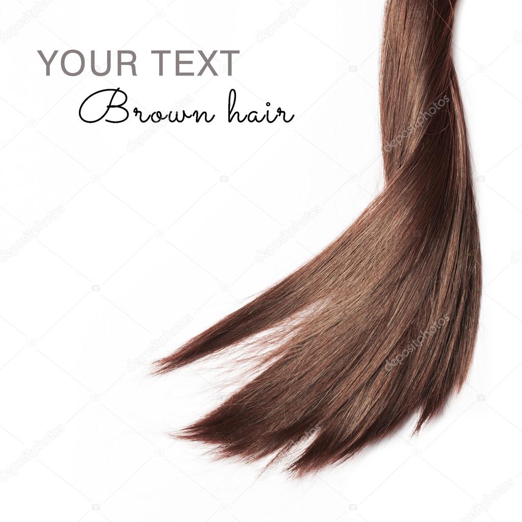 Brown hair on white background with sample text