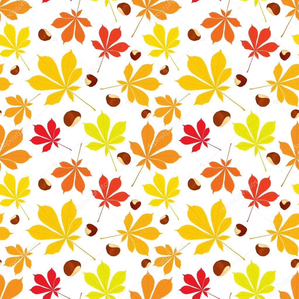 Reticolo senza giunte di autunno di foglie di castagno e noci su priorit  bassa bianca Disegno del coperchio Illustrazione vettoriale colorato