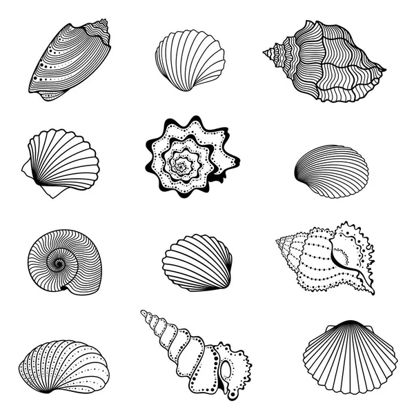 Vector Set Van Abstracte Decoratieve Schets Schelpen Zwarte Kleur Geïsoleerd — Stockvector