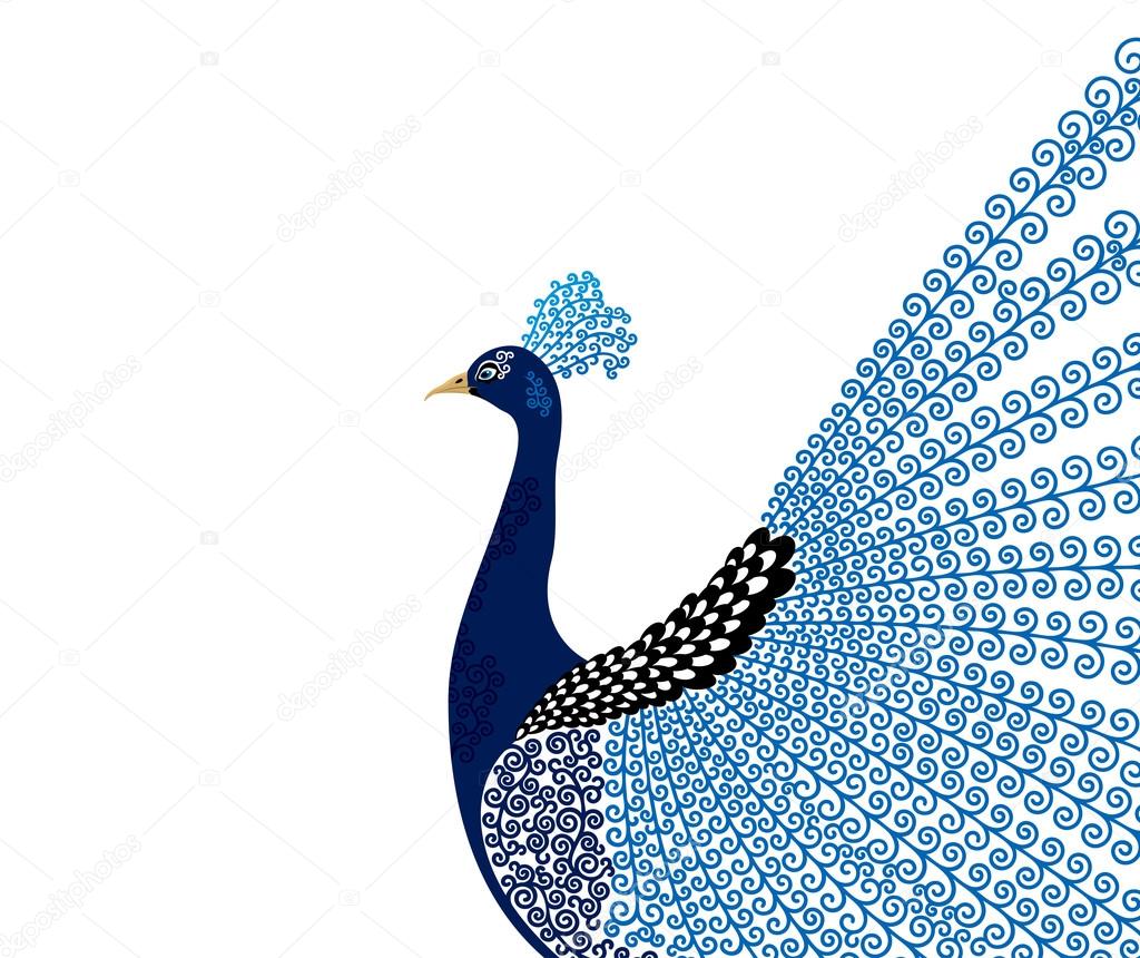 Abstract stylized peacock greeting card. Invitation. Vector illustration