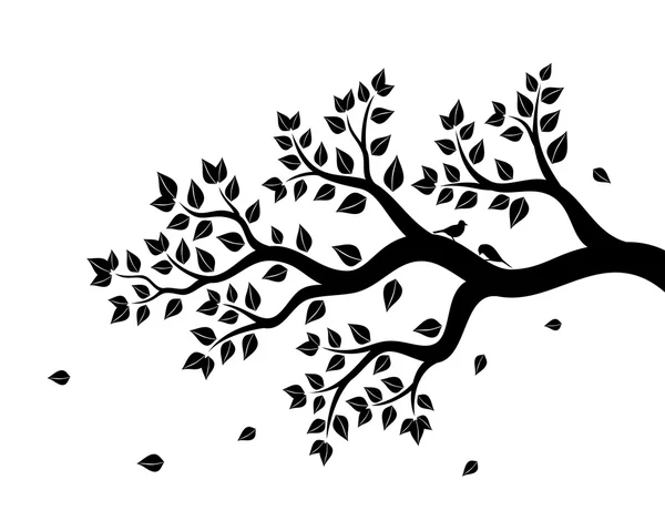 Vectir illustration of tree branch with leaves in black color on white background — Stock Vector