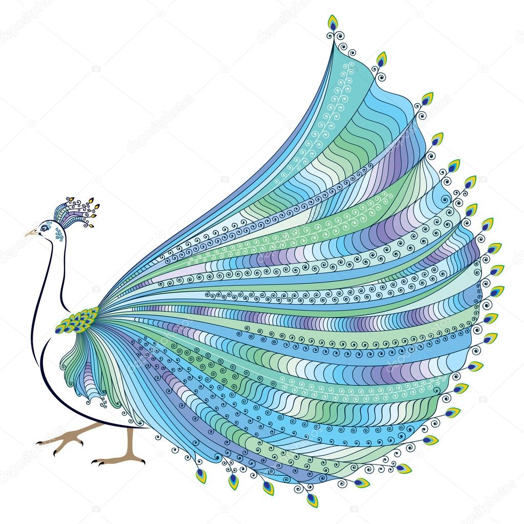 Vector illustration of stylized abstract peacock on white background