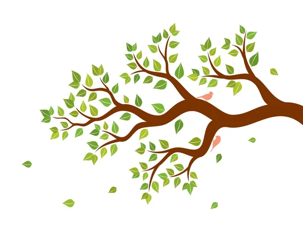 Ilustración vectorial de rama de árbol con hojas verdes y dos pájaros sobre fondo blanco. Pegatina de pared . — Vector de stock