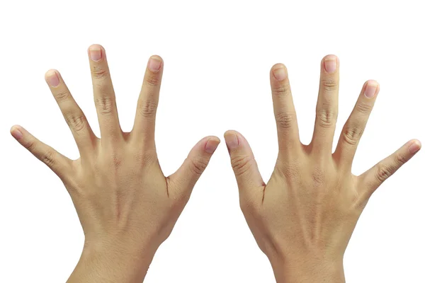 十本の指を見るとパームの分離 — ストック写真