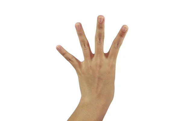 Detrás de la palma con espectáculo de cuatro dedos — Foto de Stock