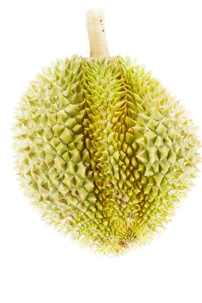 Durian izolowany na białym tle. — Zdjęcie stockowe