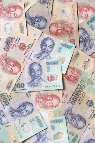 Çeşitli Vietnamca para birimi