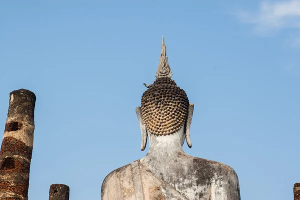 Pombo na cabeça de um Buda — Fotografia de Stock