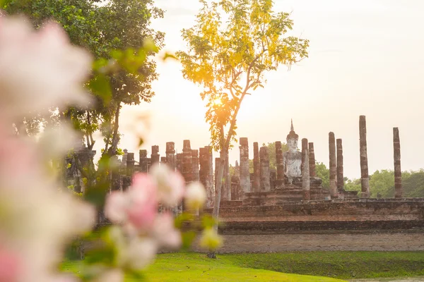 Buddhan veistos ja temppelin rauniot Sukhothain historiallisessa puistossa , — kuvapankkivalokuva