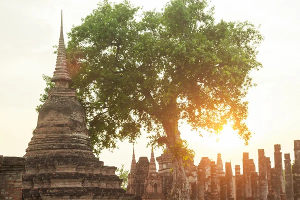 Pagode e ruínas do templo no parque histórico de Sukhothai, Tailândia — Fotografia de Stock