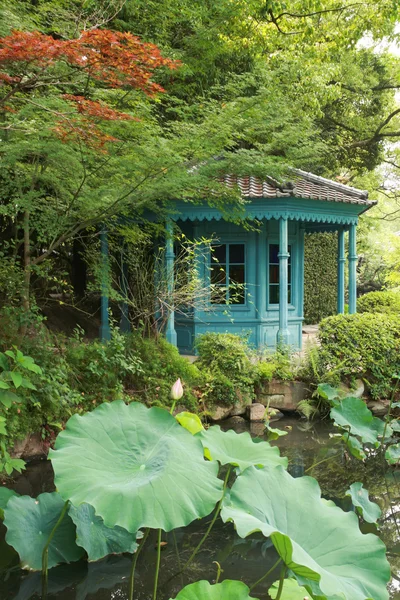 European style wooden house besides a pond full of water lily in — Stock Photo, Image