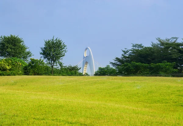 Césped y puente — Foto de Stock