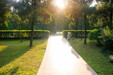 Güzel güneş ışığı ve bir parkta yaya yolu üzerindeki gölge